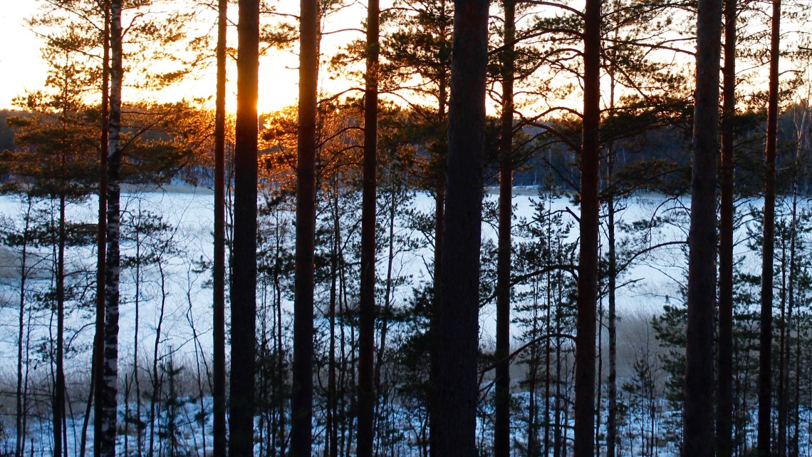 Mäntyrinne-auringonlasku